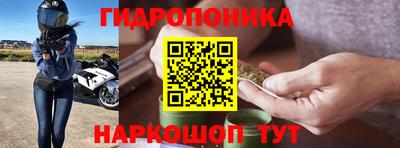 прущие грибы Ликино-Дулёво