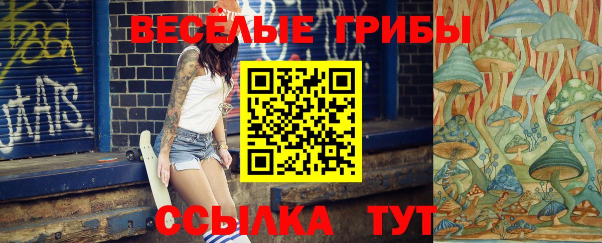 Шарыпово  Галлюциногенные грибы прущие грибы  Вход с VPN 